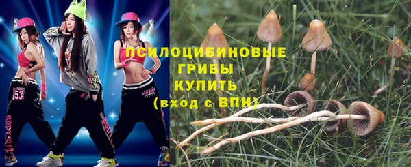 экстази Алексин