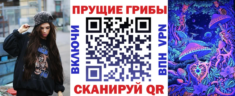 купить наркоту  Медынь  KRAKEN маркетплейс  Галлюциногенные грибы Psilocybine cubensis 